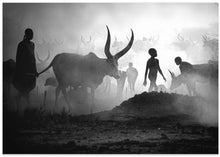 Art Prints of Mundari cattle camp