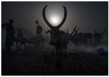 Art Prints of At a Mundari cattle camp - South Sudan