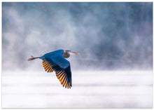 Art Prints of Morning Flight