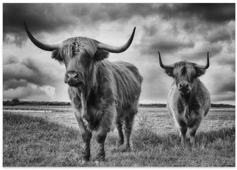 Art Prints of Highlands