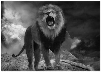 Art Prints of Lion's Roar