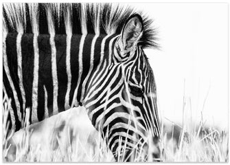 Art Prints of Fashionable black and white