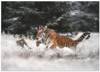 Art Prints of Joy on the snow