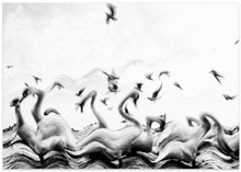 Art Prints of Swans waves