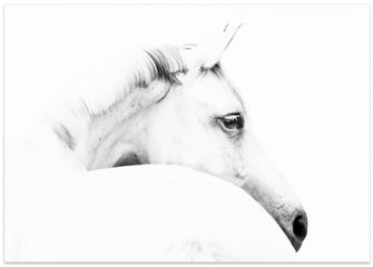 Art Prints of horse and minimalism