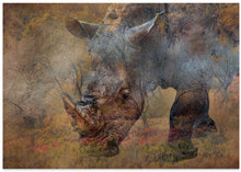 Art Prints of Rino