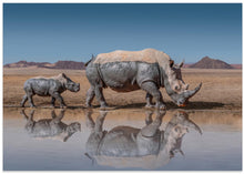 Art Prints of RhinosWalk