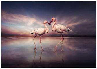 Art Prints of FlamingoLove