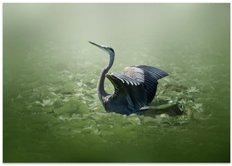 Art Prints of blue heron in a green dream