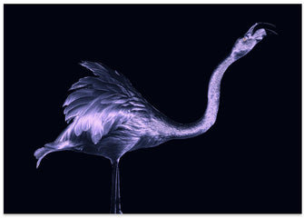 Art Prints of Silver Flamingo