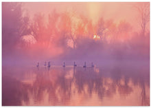 Art Prints of Swan Lake Sunrise