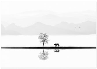 Art Prints of Quiet Moment