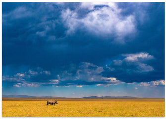 Canvas Art Print Two-horned Rhino under a cloudy sky