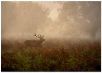 Canvas Art Print Lord of the ancient forest