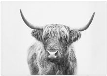 Canvas Art Print Highland Bull