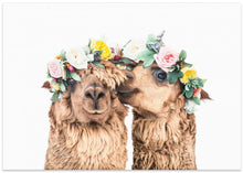 Canvas Art Print Boho Alpacas