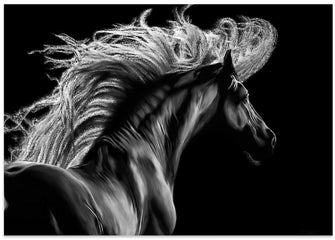 Canvas Art Print Le Equus