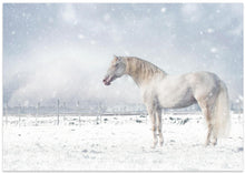 Canvas Art Print Let it snow...