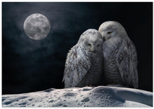 Canvas Art Print MoonOwls