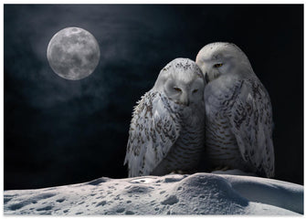 Canvas Art Print MoonOwls