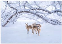 Canvas Art Print Deers' Walk in Snow