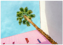 Art Prints of Palm Tree Lookup