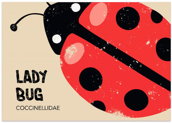 Art Prints of Lady Bug