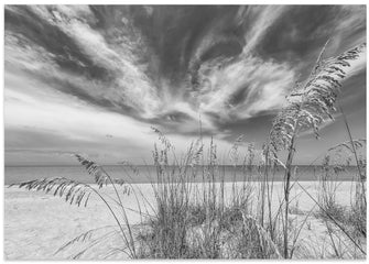 Art Prints of Heavenly calmness on the beach - monochrome