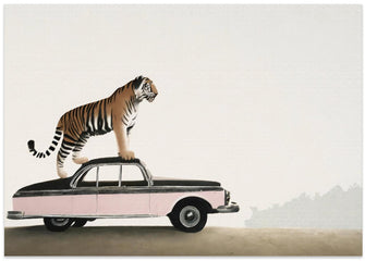 Art Prints of Tiger om a car roof