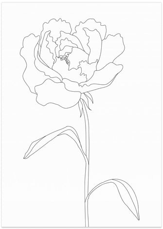 Art Prints of Peony Lines