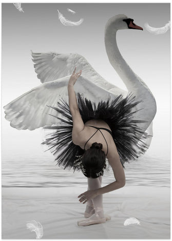 Art Prints of Swan Lake