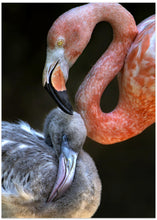 Art Prints of Tender moment