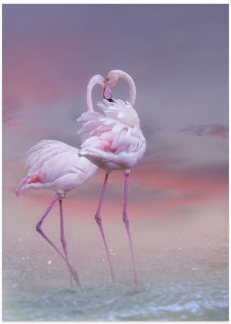 Art Prints of Flamingo Ballet