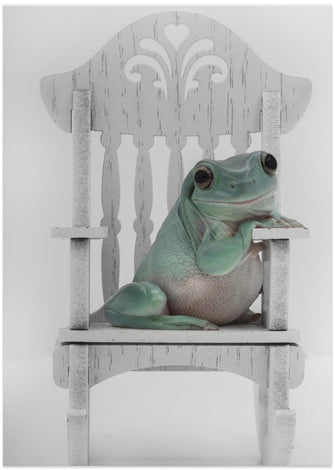 Art Prints of Rocking White's Tree Frog