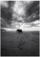 Art Prints of Amboseli