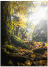 Canvas Art Print A fawn in the autumn forest