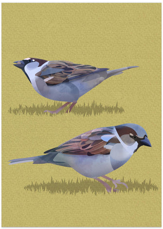 Canvas Art Print Sparrows