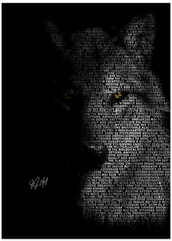 Art Prints of Wolf