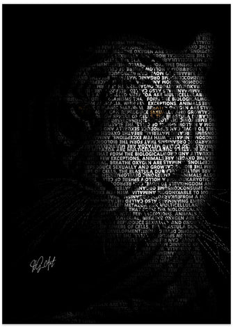 Canvas Art Print The Tiger