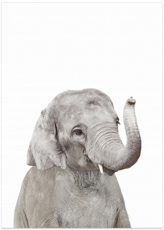 Canvas Art Print Baby Elephant