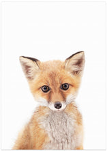 Canvas Art Print Baby Fox