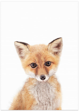 Canvas Art Print Baby Fox