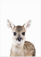 Canvas Art Print Baby Deer