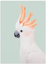 Canvas Art Print Cockatoo