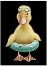 Canvas Art Print DUCK