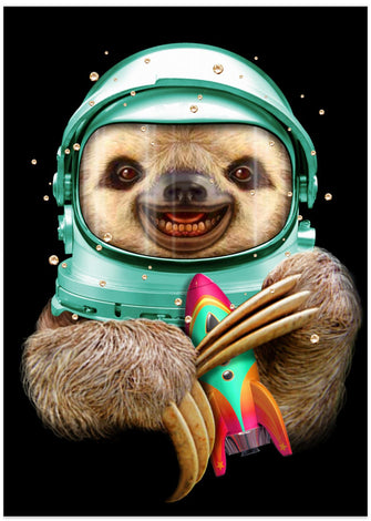 Canvas Art Print SPACESLOTH