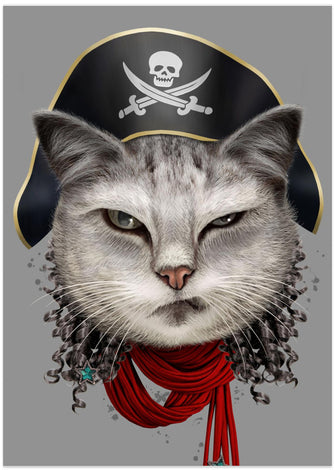 Canvas Art Print pirate