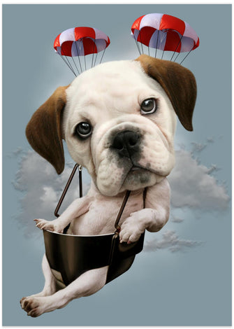 Canvas Art Print puppy on parachute