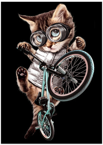 Canvas Art Print bmx cat