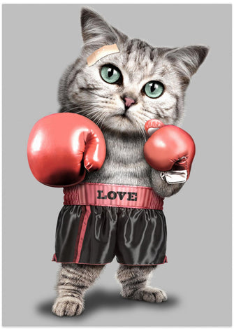 Canvas Art Print boxing cat